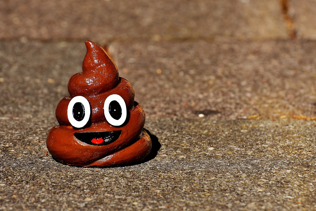 feces-2508860_1280